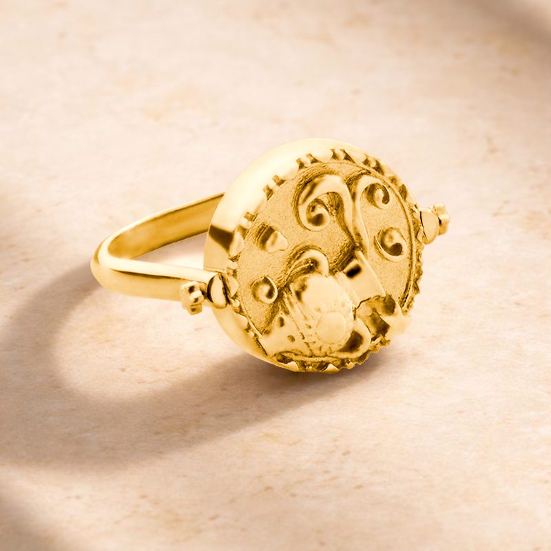 3 in 1 Aquarius Zodiac Ring