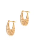 Flat Ray Hoops