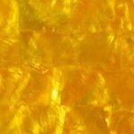 Yellow Mother of Pearl