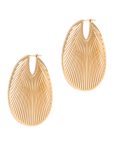 Statement Flat Ray Hoops