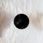 White Mother of Pearl & Black Onyx