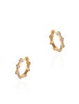 Milky Gold Hoops