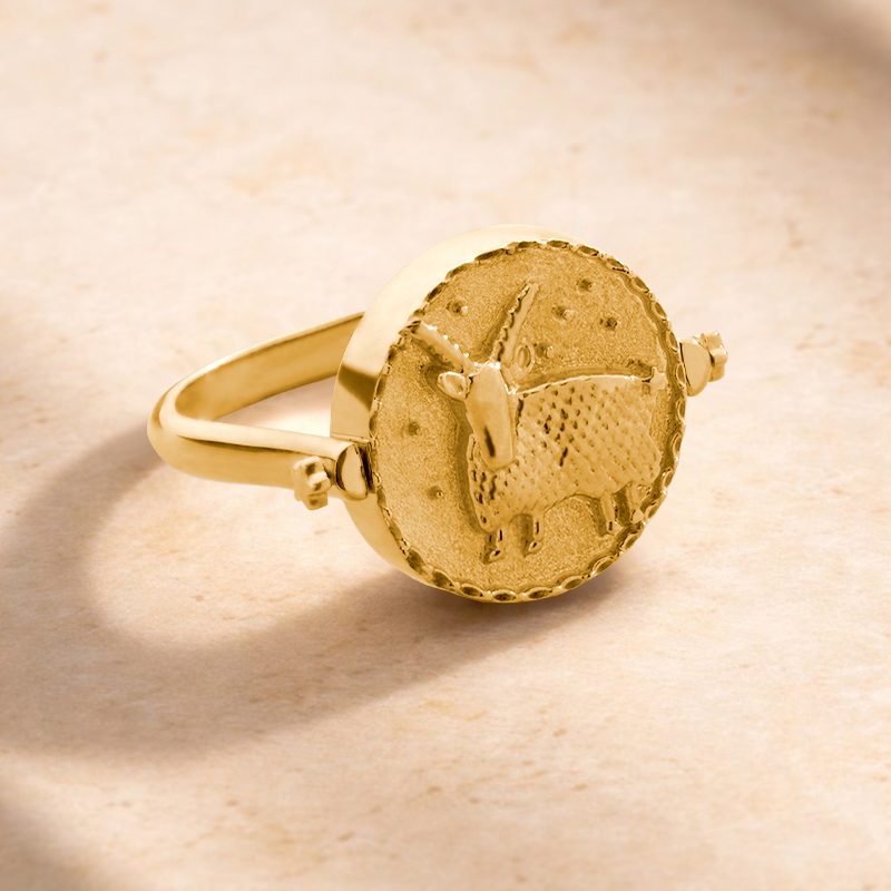 3 in 1 Capricorn Zodiac Ring