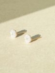 Love Me Nots Earrings - Large