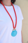 The Mediterranean Shell